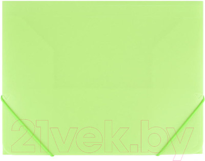 Папка для бумаг Darvish Ice / DV-09715IE-LG (салатовый)