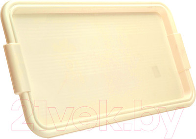 Поднос Полимербыт 4312000