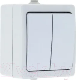 Выключатель EKF Венеция 2кл 10А IP54 / EVV10-023-10-54 (белый)