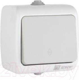 Выключатель EKF Мурманск 1кл 10А IP54 проходной / EFV10-025-30-54 (серый)