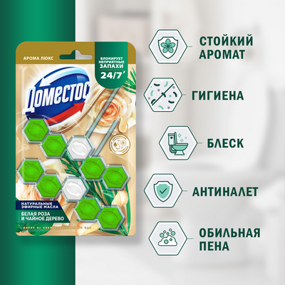 Чистящее средство для унитаза Domestos Power 5. Свежесть зеленого чая Дуо (2x50г)
