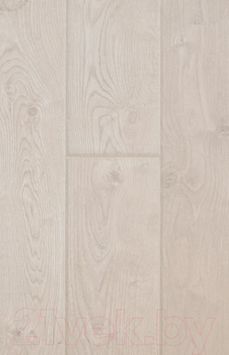 Ламинат Tarkett Estetica Дуб Натур белый NL 4V