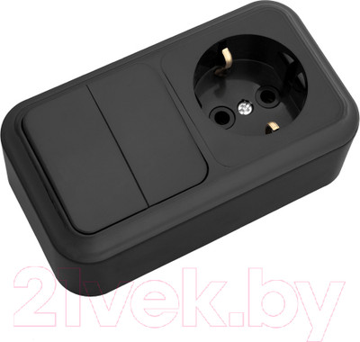 Блок выключатель+розетка Bylectrica 2В-РЦ-529 (черный)