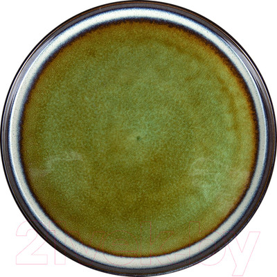 Тарелка столовая обеденная Corone Verde HL482490 / фк0730