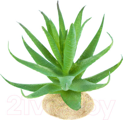 Декорация для террариума Terra Della Алое 242/465899 (светло-зеленый)
