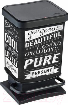 Контейнер для мусора Rotho Paso Treteimer с педалью / 1754011003 (20л, черный/рисунок)