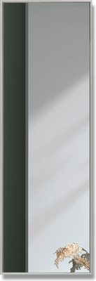 Зеркало Алмаз-Люкс М-344 (120x40см, в алюминиевой раме)
