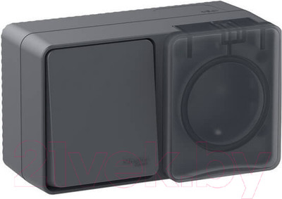 Блок выключатель+розетка Systeme (Schneider) Electric AtlasDesign Profi54 ATN544070