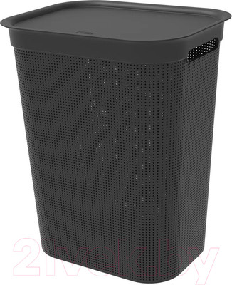 Корзина для белья Rotho Brisen / 1023508080 (50л, черный)
