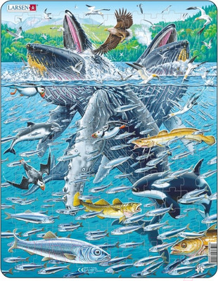 Пазл LARSEN Горбатые киты в стае сельди FH47
