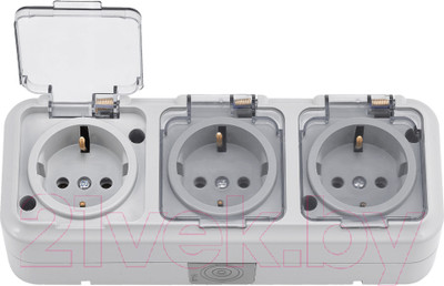 Розетка Bylectrica Пралеска аква РА16-0132(02) (серый)