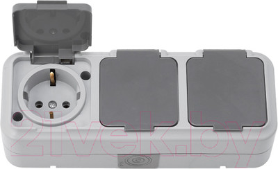 Розетка Bylectrica Пралеска аква РА16-0132(03) (серый)