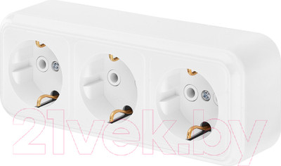 Розетка Bylectrica Пралеска РА16-265 (белый)