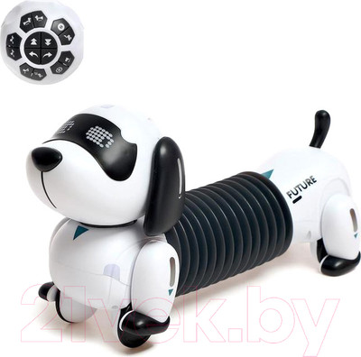 Робот Zhorya Такса / 6783223