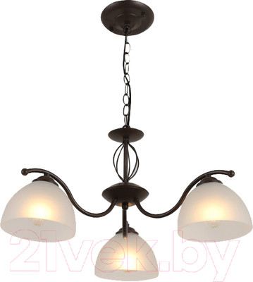 Люстра Rivoli Jackeline 9141-303 / Б0054755