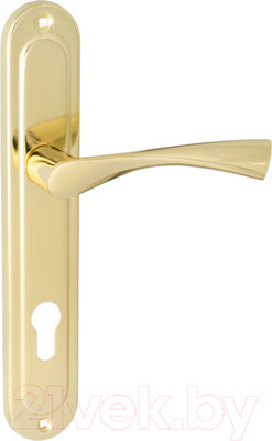 Ручка дверная Vettore 85.323 GP AL (золото)