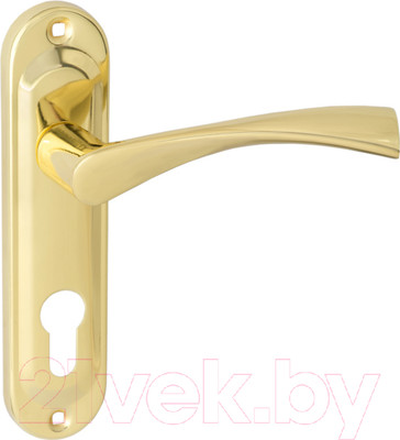 Ручка дверная Vettore 61.323 mini GP (золото)