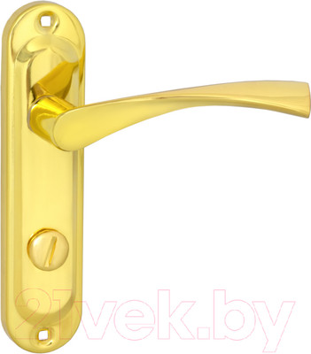 Ручка дверная Vettore 62.323 WC GP (золото)