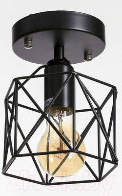 Потолочный светильник BayerLux Сеть 3954888 (черный)