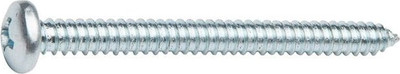 Шуруп Starfix Острый Полусферическая головка 4.8х19 DIN 7981 / SMZ1-26272-100 (100шт, оцинкованный, белый)