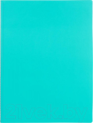 Папка для бумаг DPS 2137.П-118 (бирюзовый)