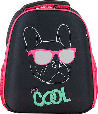 Школьный рюкзак Ecotope Kids Бульдог 057-540-120-CLR (черный)