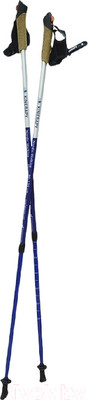 Палки для скандинавской ходьбы Kinerapy RW902