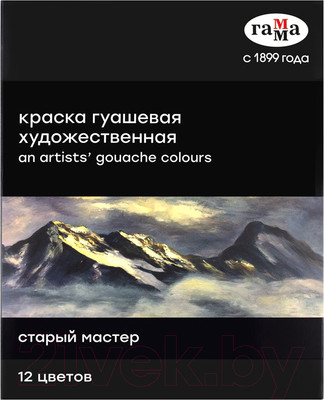 Гуашь ГАММА Студия / 180320219 (12цв)