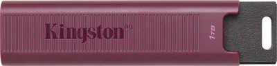 USB flash накопитель Kingston Data Traveler Max 1TB (DTMAXA/1TB)