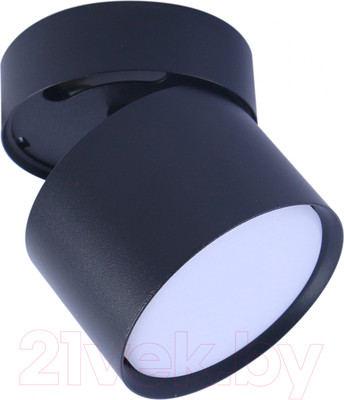 Спот Truenergy 21006