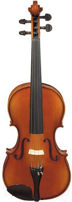 Скрипка Hora V100-4/4