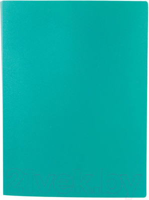 Папка для бумаг Lite NP0151-30ВG (с файлами, зеленый)