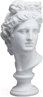 Гипсовая фигура художественная Мастерская Экорше Голова Апполона Бельведерского / 10-109