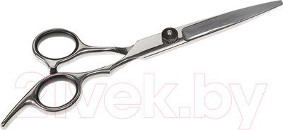 Ножницы для стрижки животных Ferplast GRO 5783 Premium / 85783899 (прямые)