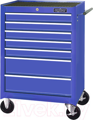 Тележка инструментальная Ombra OTT47B-R