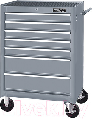 Тележка инструментальная Ombra OTT47G-R