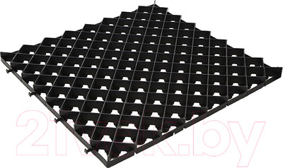 Газонная решетка Ecoteck Экотек Паркинг-М / АС 01205300 (черный)