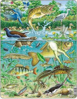 Пазл LARSEN Пруд FH19