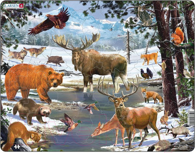 Пазл LARSEN Животные Северной Европы FH32