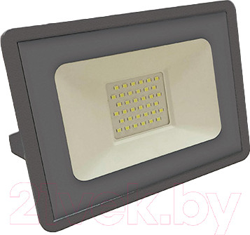 Прожектор Фарлайт СДО 30Вт 4000К IP65 FAR002040 (серый)