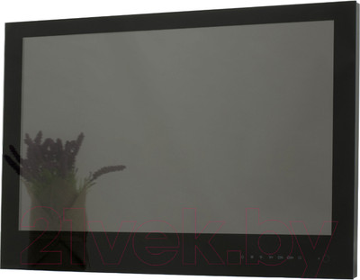 Телевизор Avel Smart AVS240WS (черный)