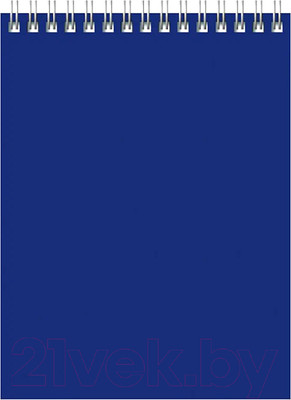 Блокнот BG Для конференций / Б5гр60 8589 (60л, синий)