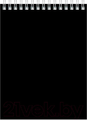 Блокнот BG Для конференций / Б5гр60 8593 (60л, черный)