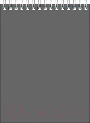 Блокнот BG Для конференций / Б6гр60 8597 (60л, серый)