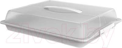 Емкость для хранения выпечки Rotho John Large для пирожных / 1748301100 (прозрачный/белый)