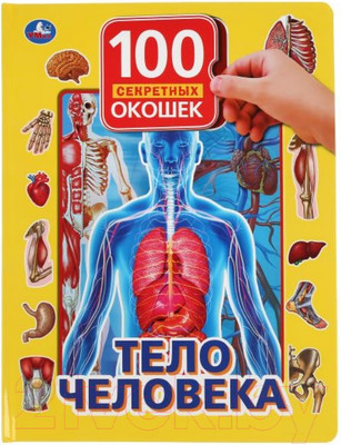 Развивающая книга Умка Тело человека. 100 секретных окошек для малышей