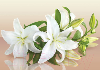 Фотообои листовые Твоя планета Люкс Лилии (194x136)