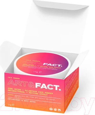 Пудра рассыпчатая Art&Fact Zinc Oxide + Allantoin Face Powder антисептическая (15г)