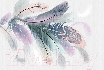 Фотообои листовые Vimala Векторные перья (270x400)