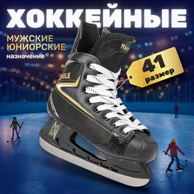 Коньки хоккейные Ricos Eagle PW-206AJ (р.41)